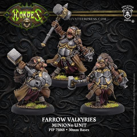 Minion Farrow Valkyries RESINBlister Pack)
